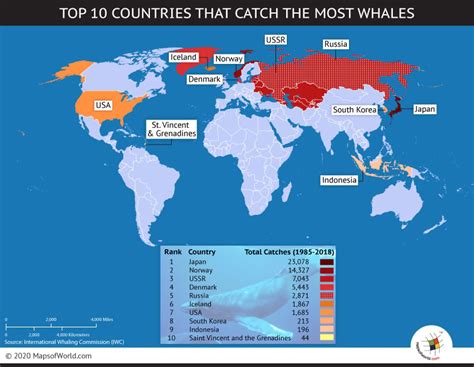 which countries are still whaling